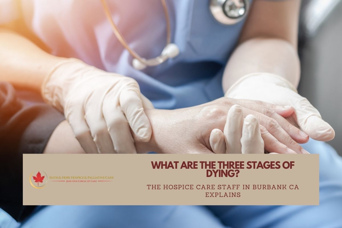 What Are The 4 Stages Of Death In Hospice Patients